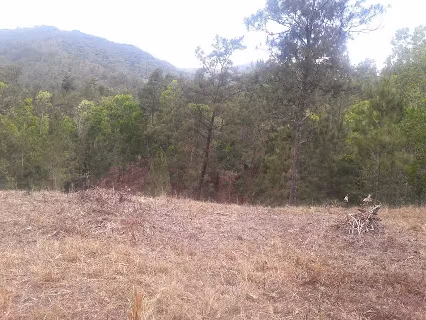 Caba&ntilde;a Carolina Los Ogando