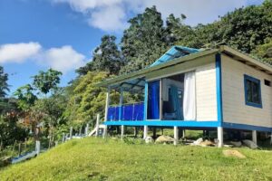 CABA&Ntilde;A DE HENRY EL JINETE