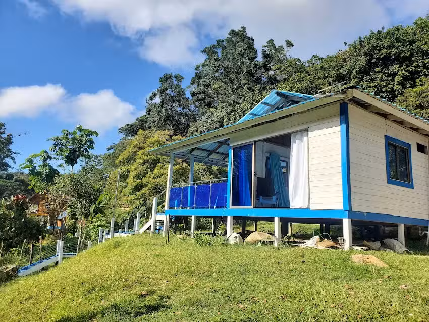 CABA&Ntilde;A DE HENRY EL JINETE