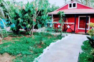 Caba&ntilde;a Ecoturistica T&iacute;o Tony. Un paraiso escondido.