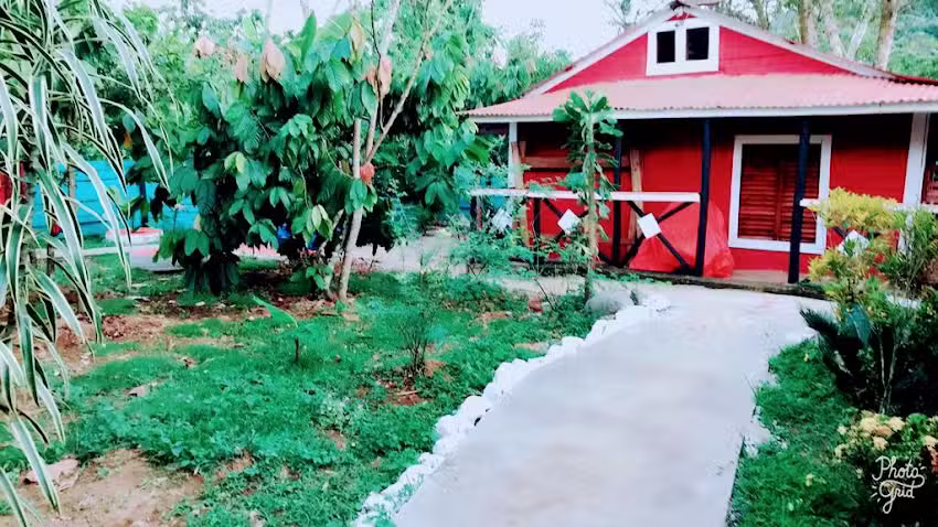 Caba&ntilde;a Ecoturistica T&iacute;o Tony. Un paraiso escondido.