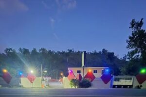 Caba&ntilde;a liliana