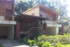 Caba&ntilde;a Pinar Dorado 1