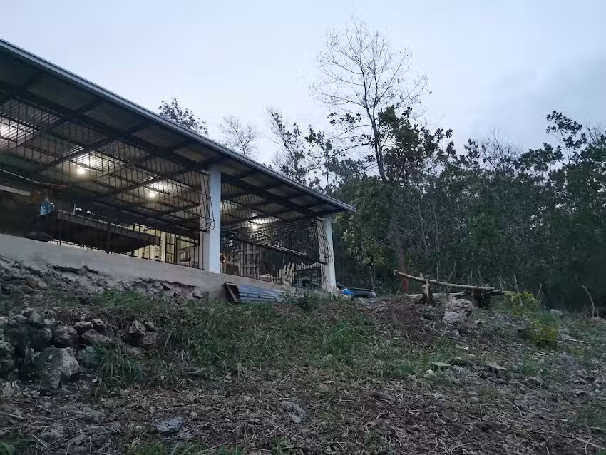 Caba&ntilde;a Teruel