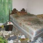 Caba&ntilde;as Mi Casa