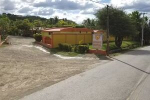 Caba&ntilde;as Tropical