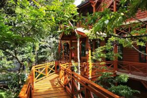 Casa Jardin Montesacro