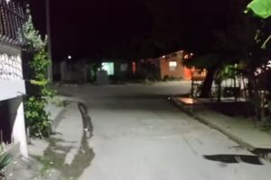 Centro Comunal Caoba