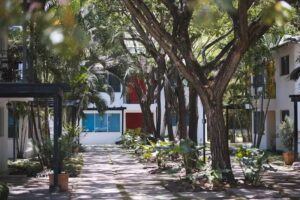 Cha Cha Hotel (Formerly Villas Codevi)