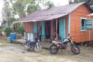 Cola de Pato Ecologde