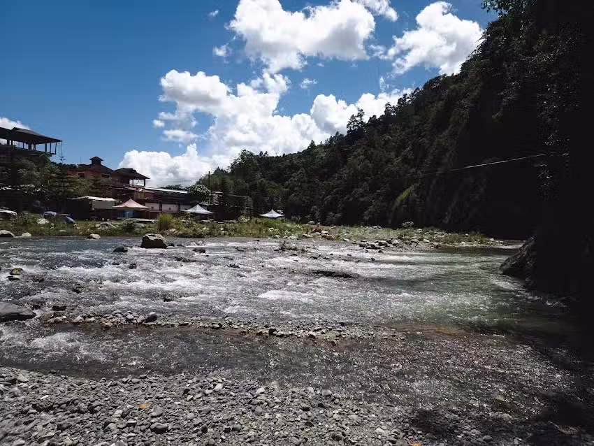 Comunidad las avispas