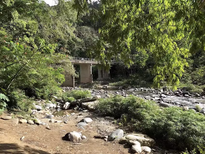 Donde Cheo, Los Cacaos