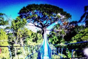 Eddy Reyes Aparta Hotel