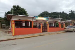El lim&oacute;n Saman&aacute;