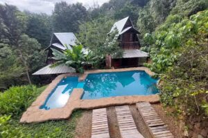 El patio del viejo negro