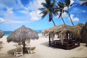 Everything Punta Cana