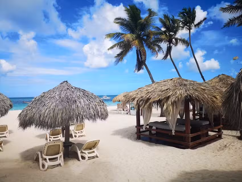 Everything Punta Cana