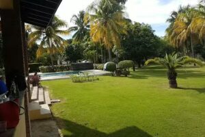 Finca de Bonelly, Ojo de Agua