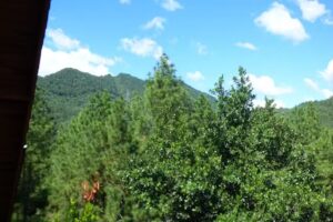 Finca Miguel Valenzuela