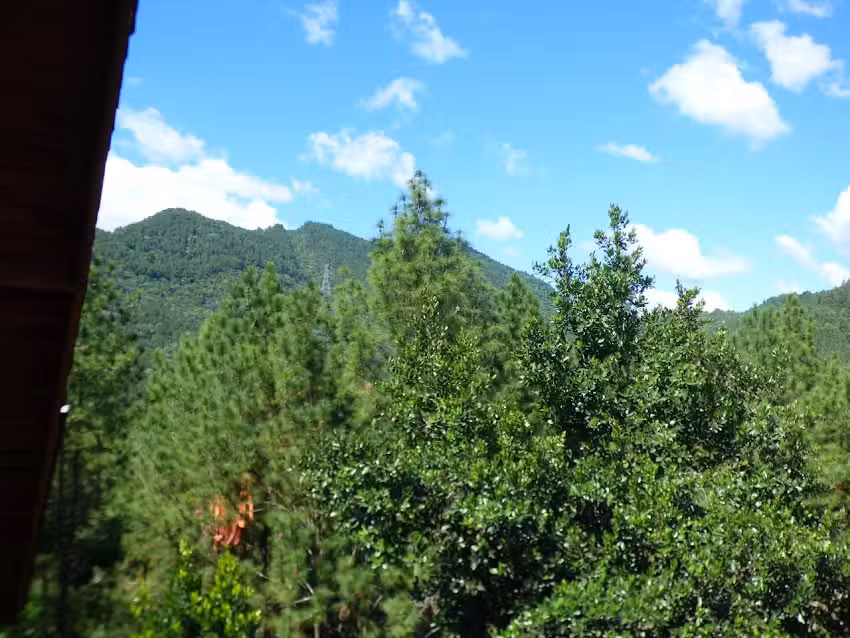 Finca Miguel Valenzuela