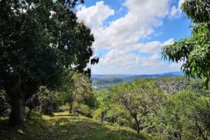 Finca San Cristobal Hato Damas