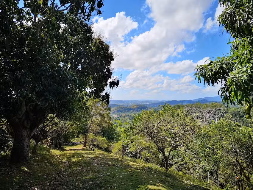 Finca San Cristobal Hato Damas