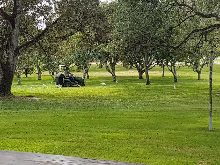 Guest House Nestl&eacute; Factory San Francisco Macoris