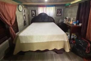 Gurabito EcoAmbiente