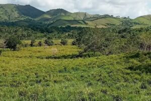 Hacienda Don Francisco (Fucho)