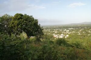 Hacienda Los Compadres