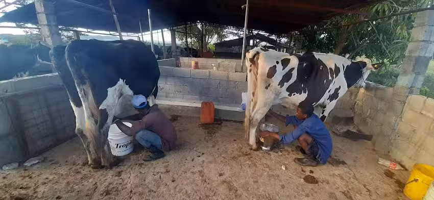 Hacienda los Familia