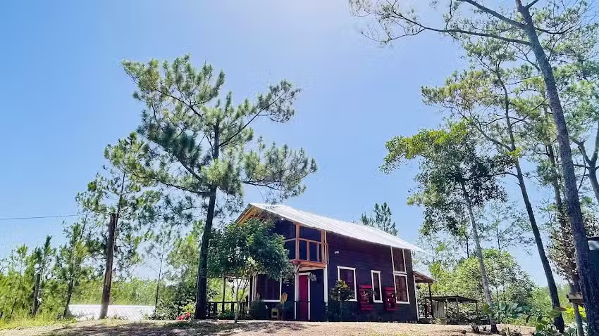 Hacienda Pinar de Jabal&iacute;