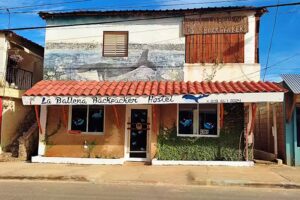 Hostel La Ballena backpacker