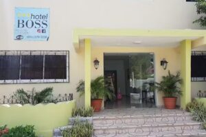 Hotel Boss