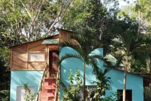 Jungla de Alegria CASA DE LA CANELA