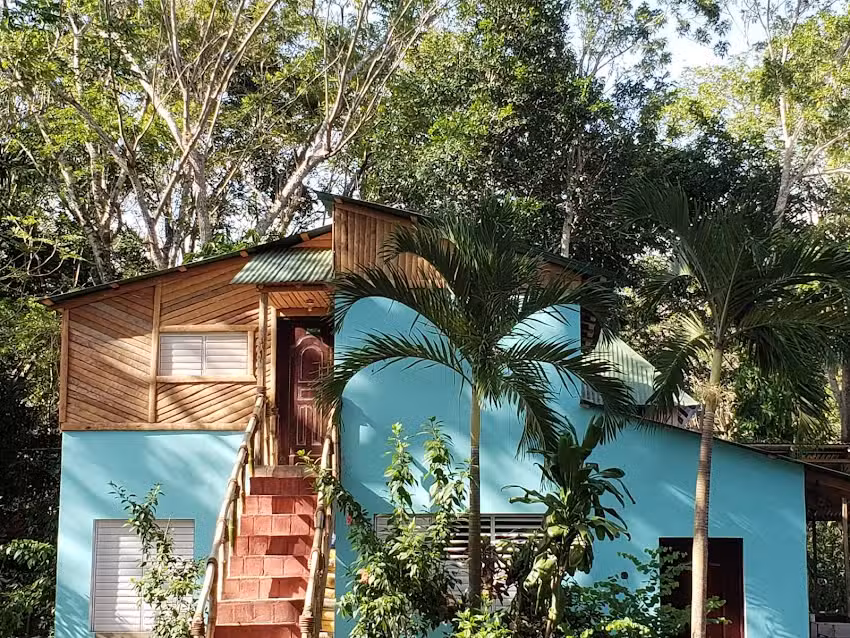 Jungla de Alegria CASA DE LA CANELA