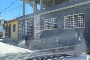 La Cardera Del Armirante