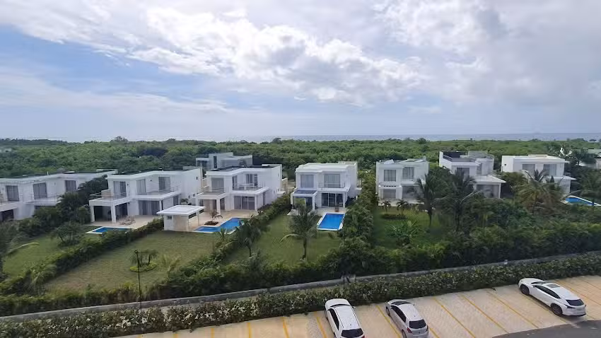 La Ensenada, Nueva Romana, Palmera 11