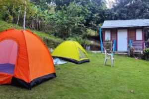 La Loma Camping