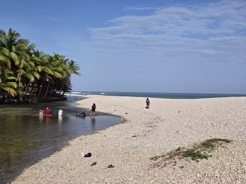 Los patos de Barahona