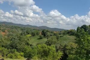 Members Ranch La Joya