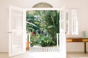 Mosquito Boutique Hotel