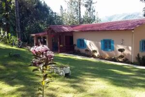 Pinar de la Monta&ntilde;a