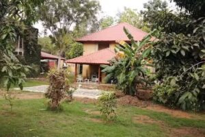 Rancho D&oacute;mino Blue