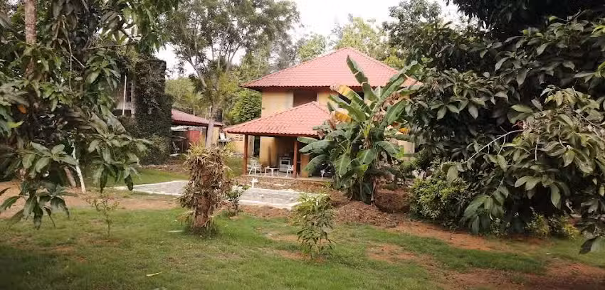 Rancho D&oacute;mino Blue