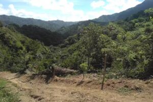 Rancho Pinguerito, Los Candonguitos, San Crist&oacute;bal