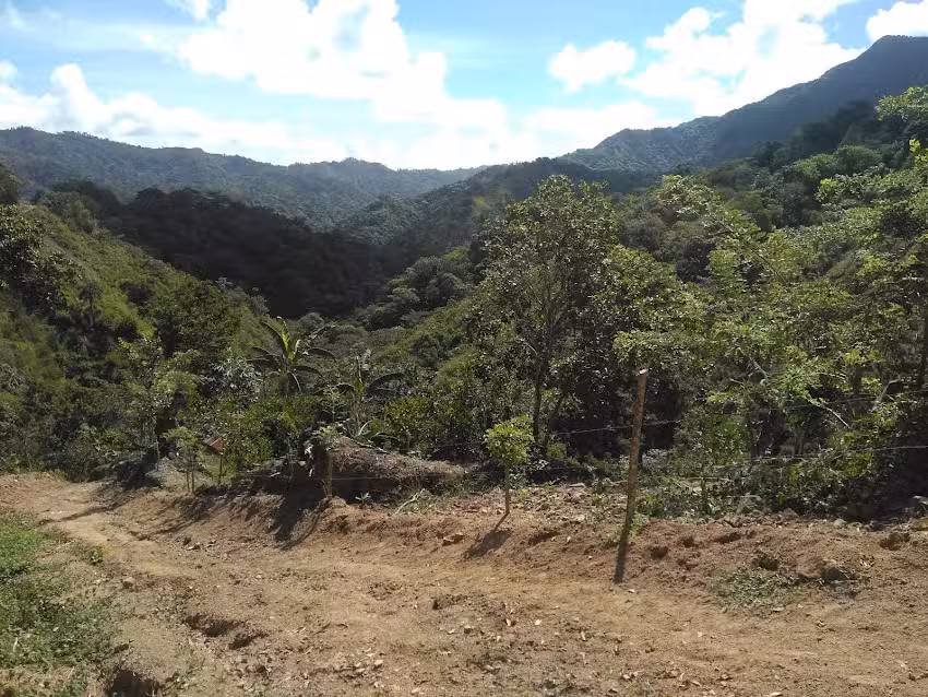 Rancho Pinguerito, Los Candonguitos, San Crist&oacute;bal