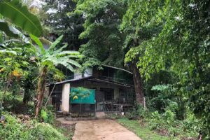 Real Dominican Republic Discovery