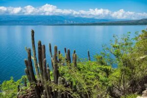 REMEDIO LA HIGUERETA