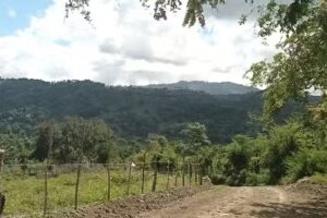 RIO CAMU, JUAN DE NINA